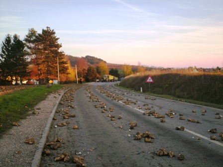 Verunreinigte Fahrbahn