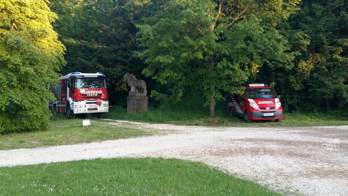 Brandsicherheitswache