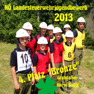 Landesfeuerwehrjugendleistungsbewerb 2013