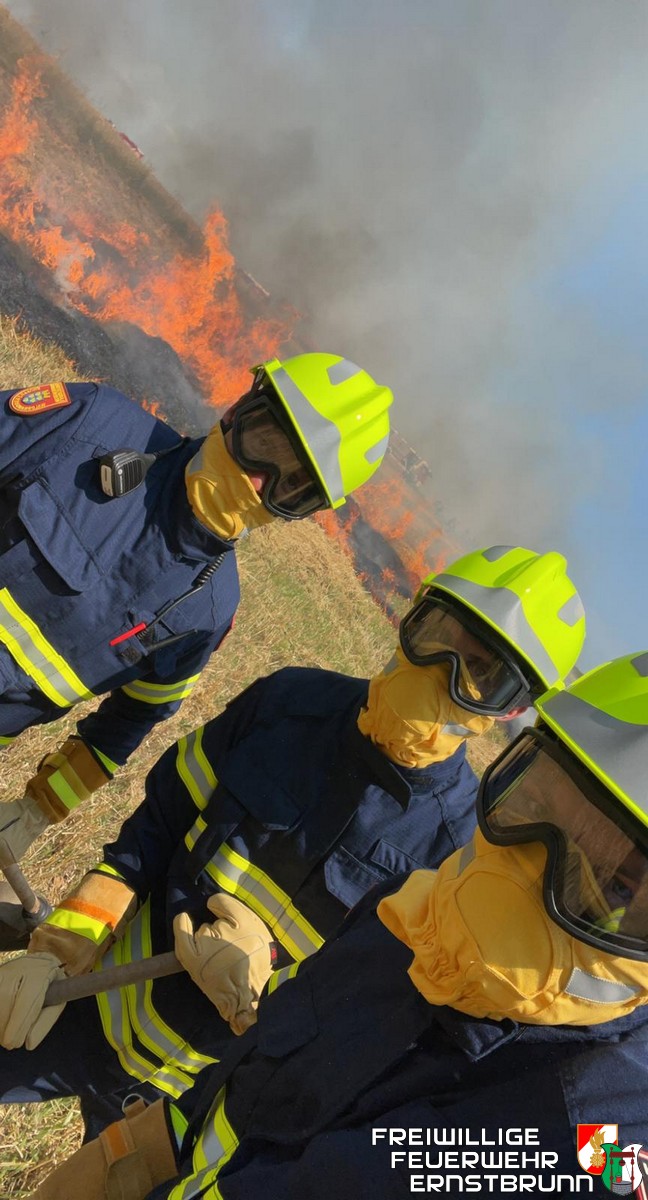 Waldbrandübung Sonderdienst