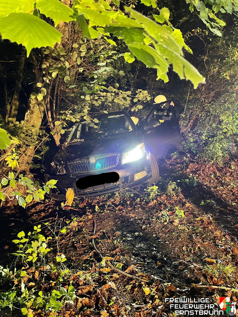 Fahrzeugbergung im Merkersdorfer Wald