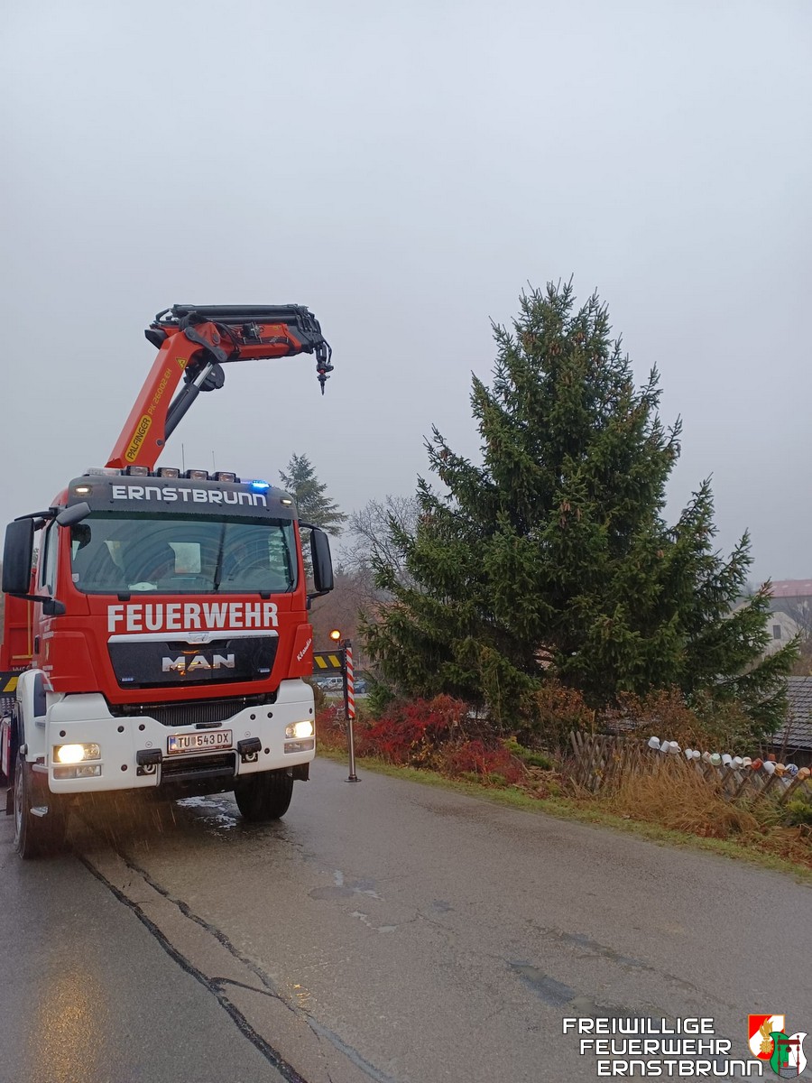 Christbaum aufstellen
