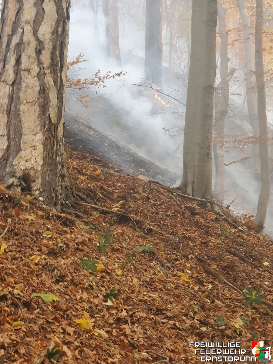 Waldbrand in Hirschwang an der Rax