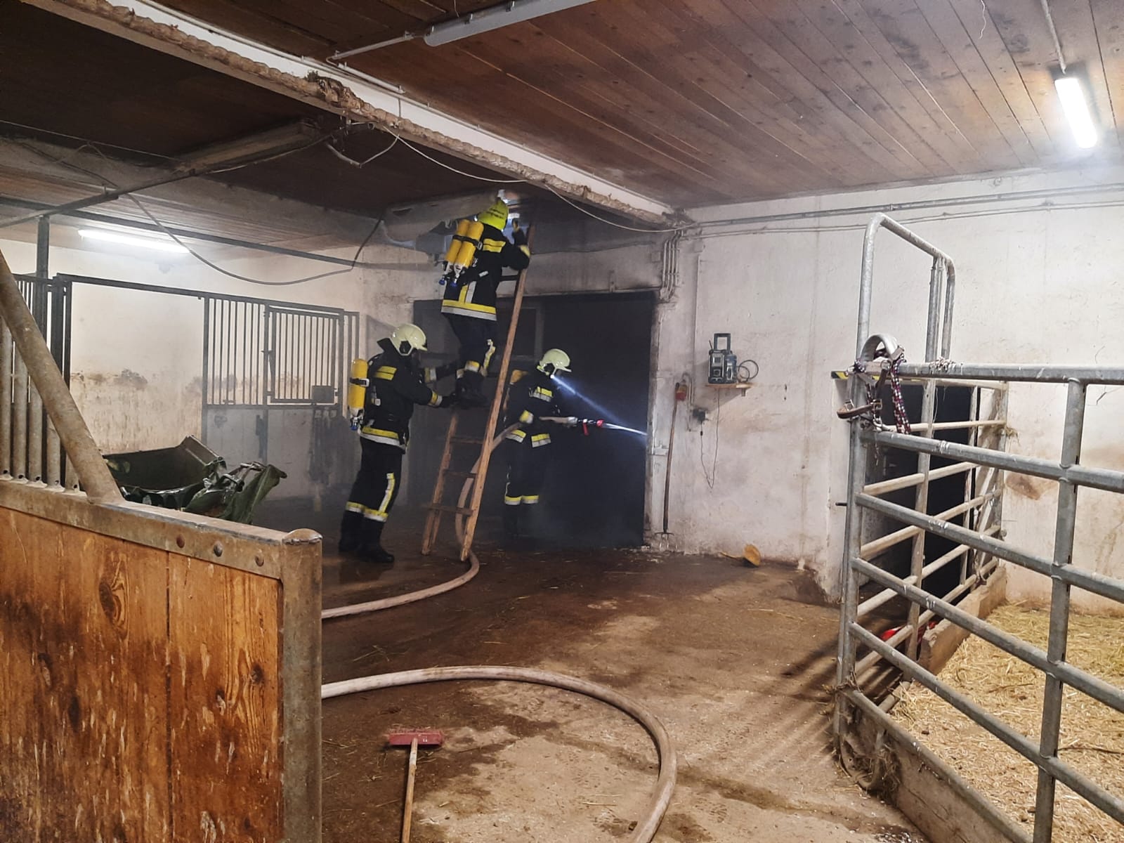 Brand eines Reitstalles in Karnabrunn