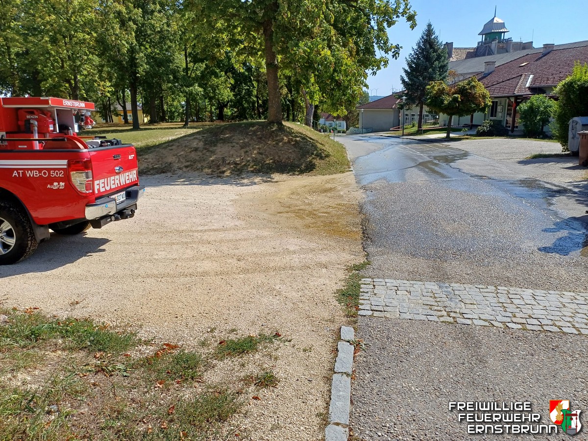 Wassergebrechen