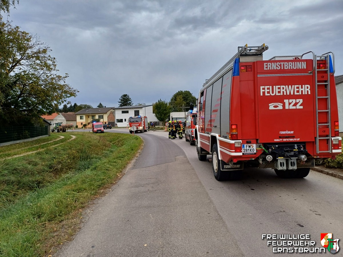 VU mit eingeklemmter Person in Herzogbirbaum