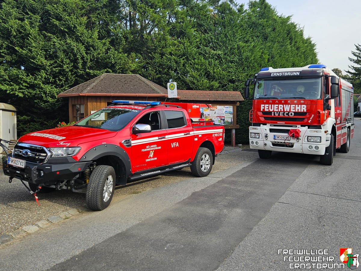 Tierrettung in Lachsfeld