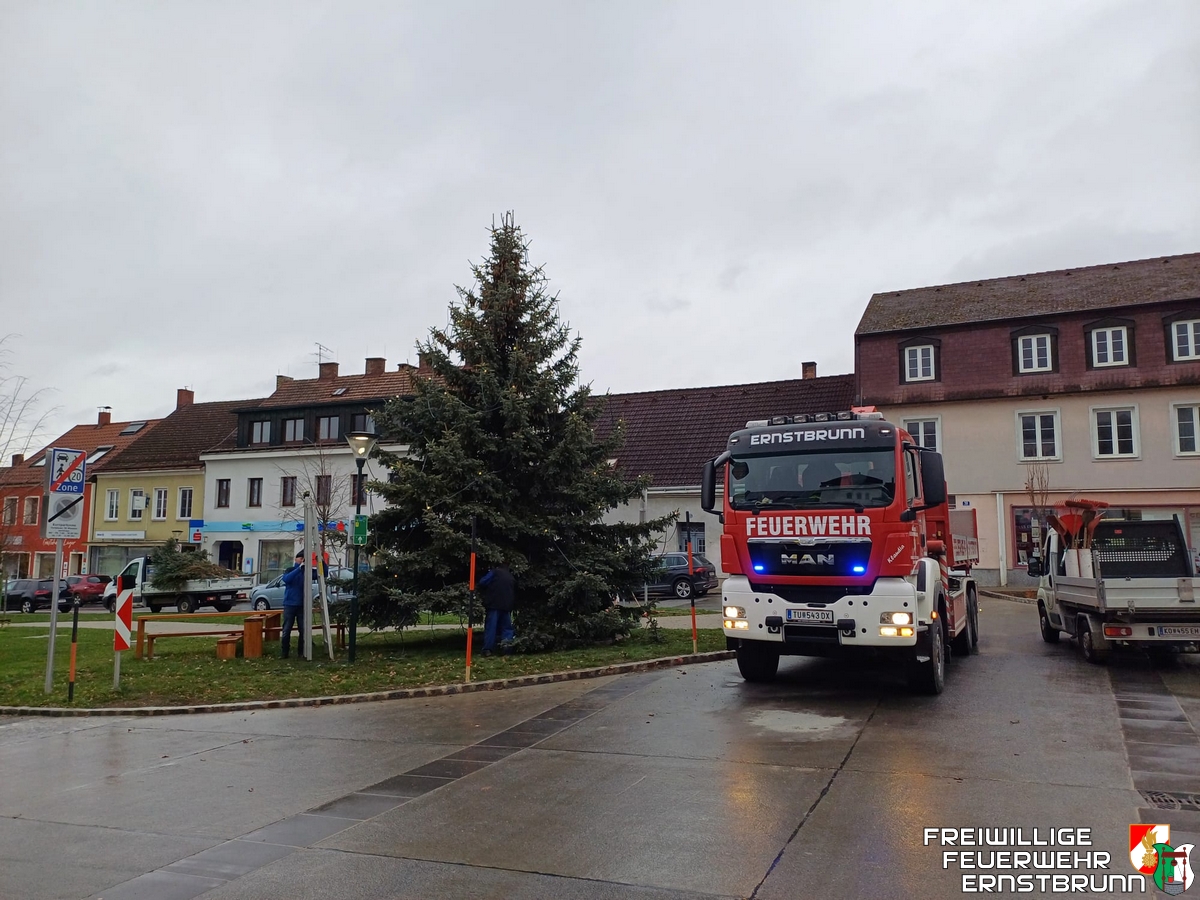 Christbaum aufstellen 2024