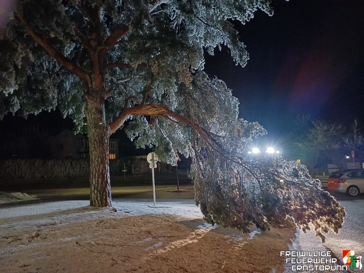 Ast nach Eisbruch entfernt
