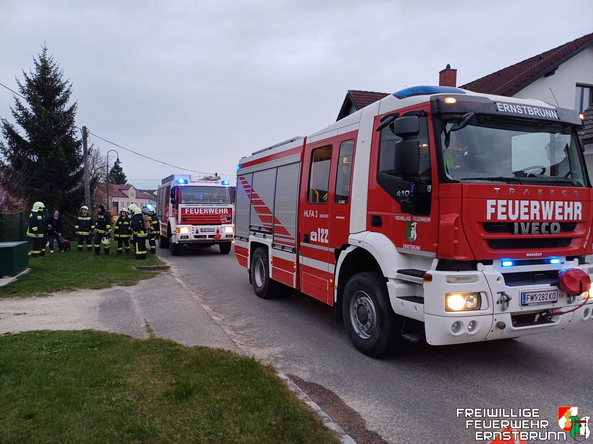 Kaminbrand in Maisbirbaum während der Monatsübung