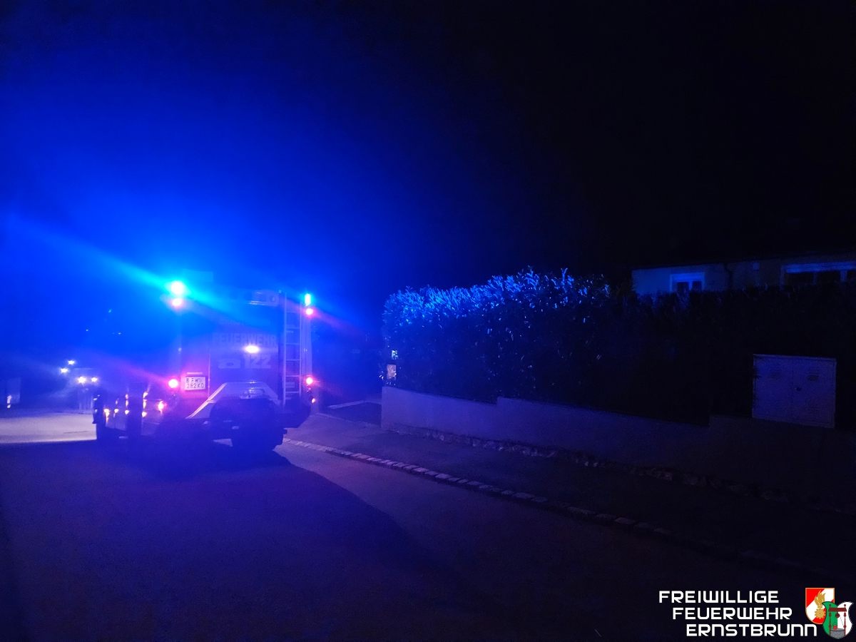 Nächtlicher Einsatz wegen Gasgeruch