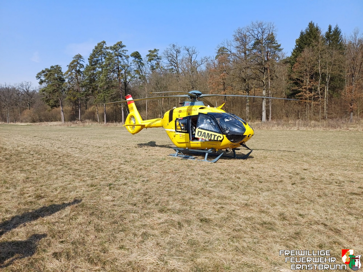 Menschenrettung nach Unfall bei Holzarbeiten im Ernstbrunner Wald