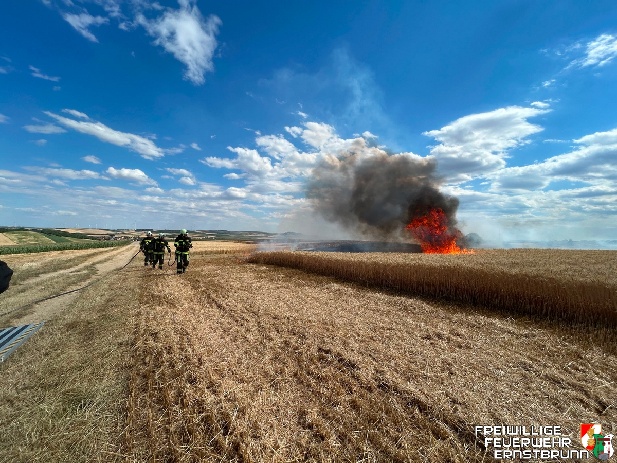 Feldbrand in Steinbach
